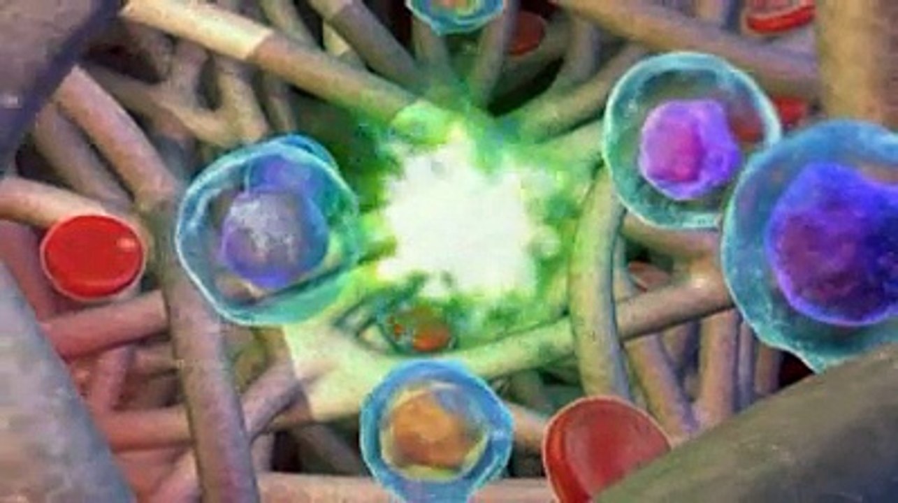 Généralités sur le cancer