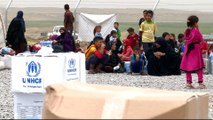 Iraqi camps struggle to aid Mosul's displaced