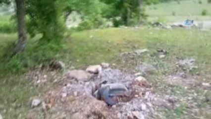 Eğitimli Köpekler Buldu, Güvenlik Güçleri İmha Etti