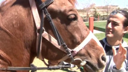 Malatya-Özel)tabiat Parkında Ata Binerek Stres Atıyorlar