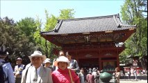 根津神社のツツジ祭り　2017・5・2（火）