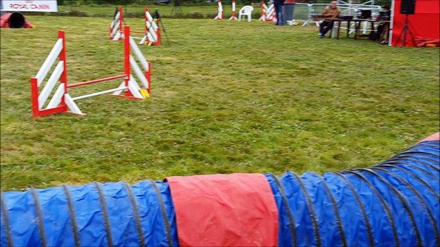 Sélectif Championnat de France à Fiefs - Agility