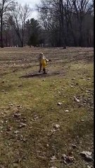 Aden and Ethan playing in the park at the playground april