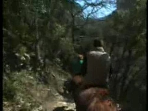 Entre Alpilles et Lubéron : la pierre qui pousse