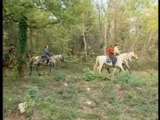 Jura : à la recherche du hérisson