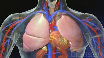 Le sevrage tabagique expliqué en vidéo