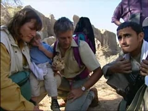 Sur les traces du léopard d'Arabie