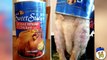 15 Absurd Canned Foods That Shouldn't Exist