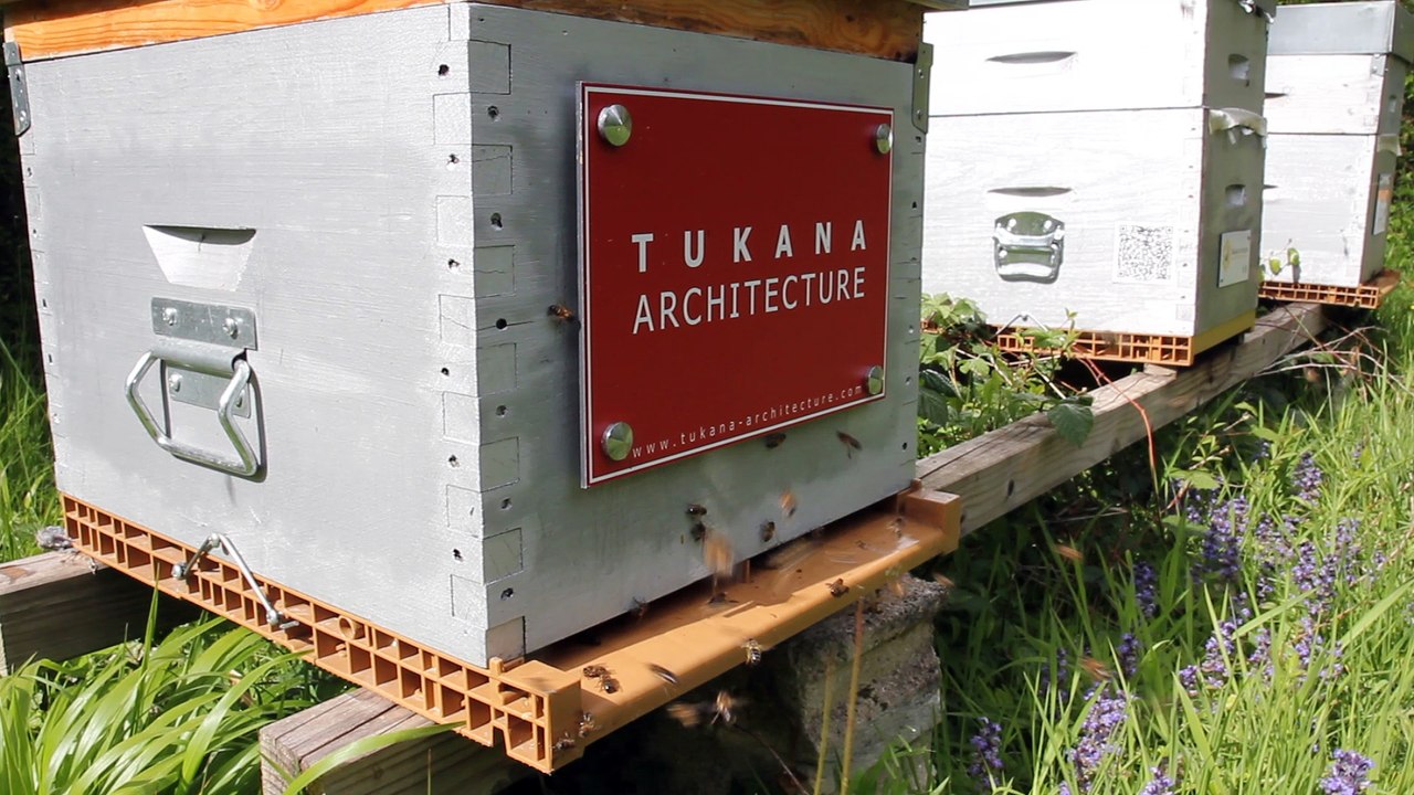 Ruche TUKANA ARCHITECTURE saison 2017