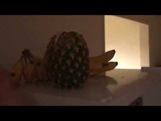 Misael Rodriguez's meal planning for the month his own fridge and camp life - esnews boxing