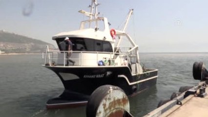 Izmit Körfezi'ndeki Balık Popülasyonu Artırılacak - Kocaeli