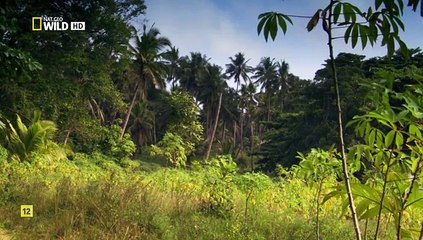 National Geographic Wild Islands Zanzibar Full HD