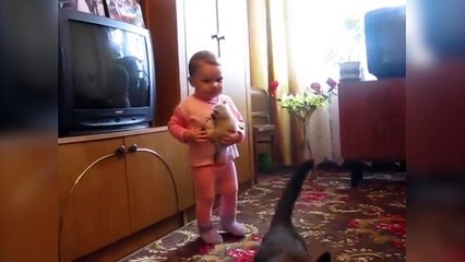 Cette chatte veut absolument récupérer son bébé !