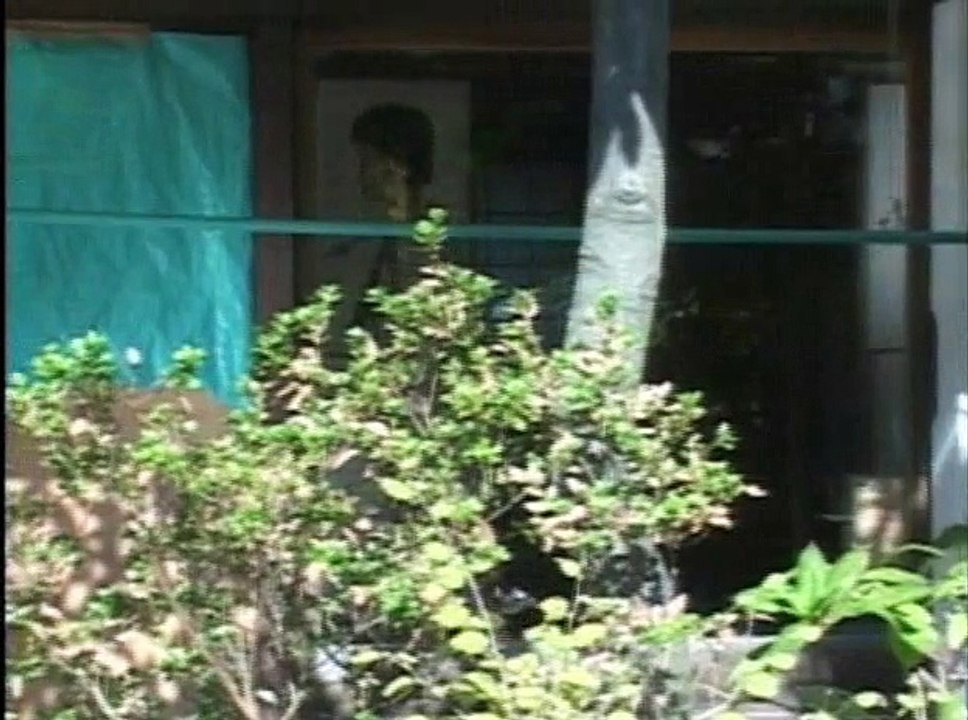 Visitor Q (2001) Part II