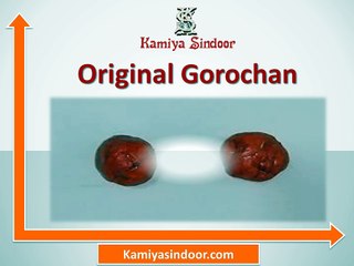 गोरोचन के प्रयोग और फायदे हिंदी में, गोरोचन की पूजा मंत्र सहित