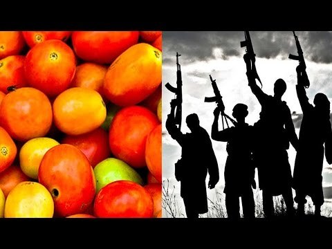 Fatwa says tomatoes are Christian, warns Muslims of eating them
