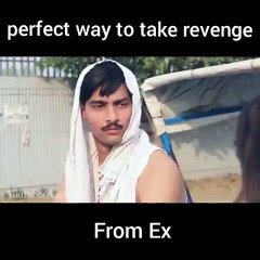 perfect way to take revenge from ur ex