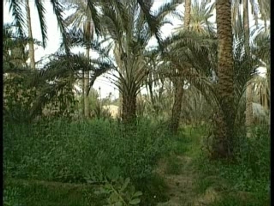 Sud Tunisien