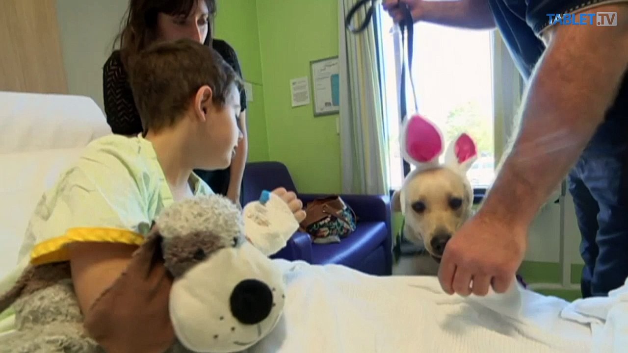 Deti v nemocnici navštívila zvieracia polícia