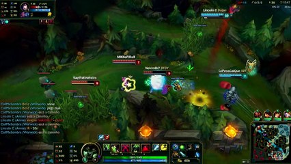 LEAGUE OF LEGENDS - NICE WARWICK