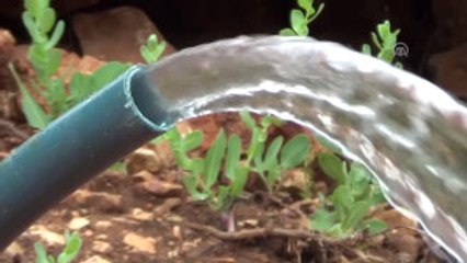 31 Yıllık Su Hasreti Son Buldu