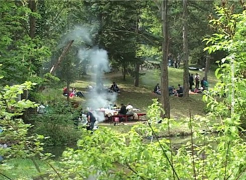 Tradicionalna proslava praznika i u Zlotu, 2. maj 2017. (RTV Bor)