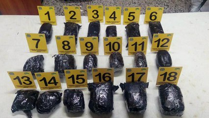 Familia de australiana detenida en Colombia denuncia engaño