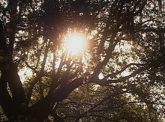 North And South The Making Of North And South