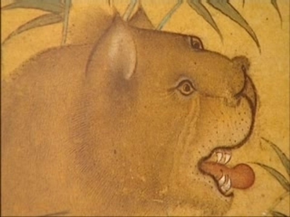 Au royaume des lions
