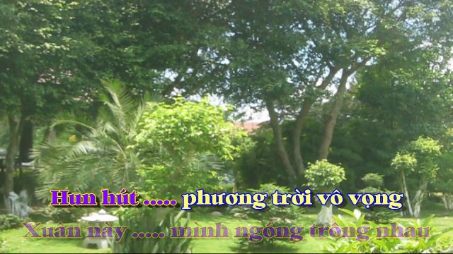 [Karaoke] RỪNG CHƯA THAY LÁ - Huỳnh Anh (Giọng Nữ)