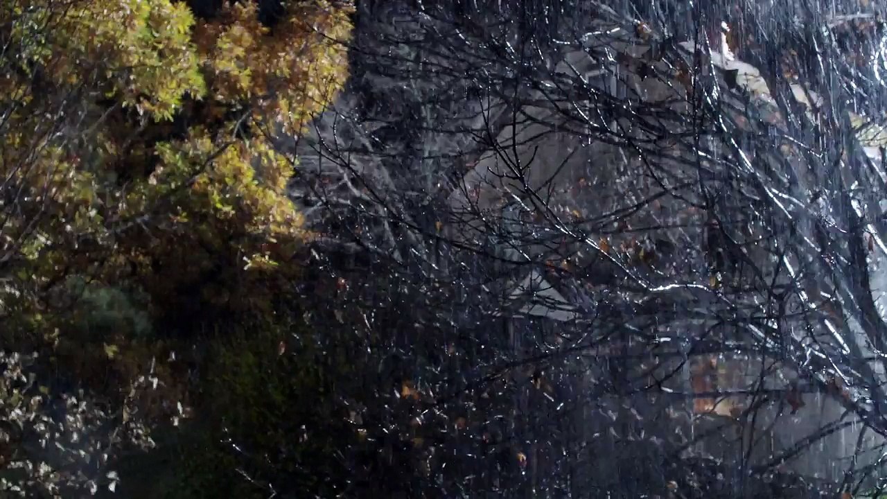 Be Afraid - Bande-annonce VO