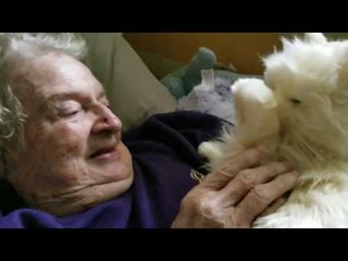 Heartwarming Moment as Son Gives Mom a New 'Cat'
