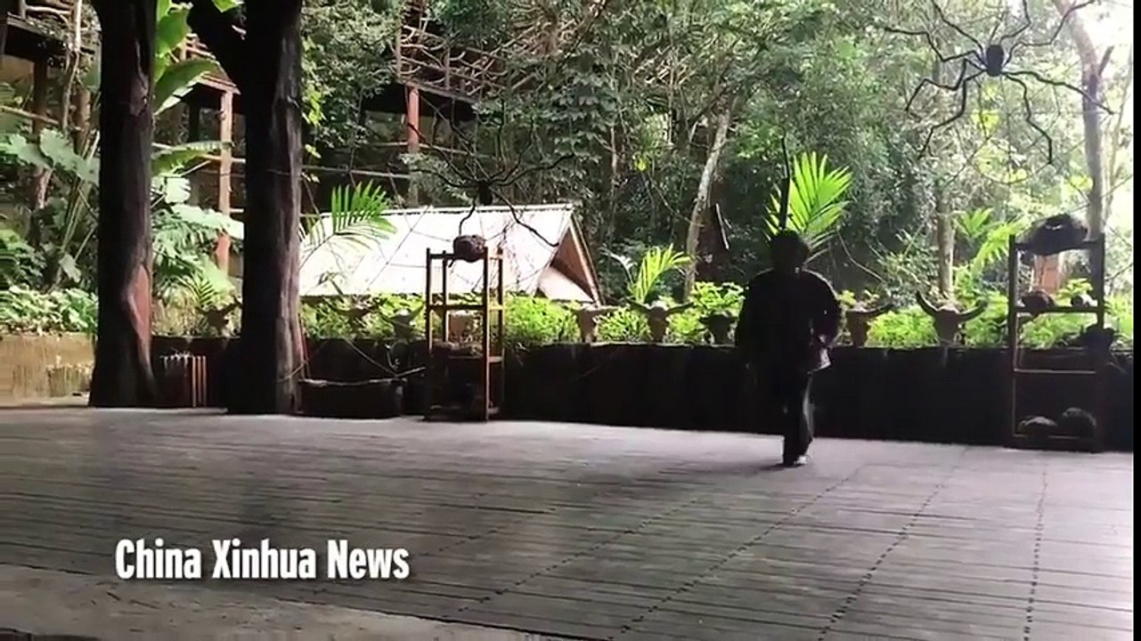 L'homme saute sur des tessons de verre !! WTF