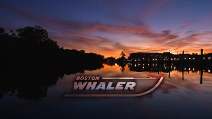 Boston Whaler's Dauntless Family