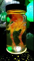 The Artful Science of Diaphonization of Chicken From Necromance in Hollywood California