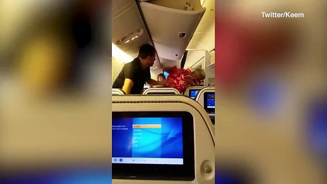 Two men brawl on a plane before one passenger is arrested after ‘choking’ a stewardess while being ejected