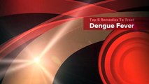 Top 5 Remedies To Treat Dengue Fever-jsy