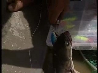 Aventures de pêche en Malaisie