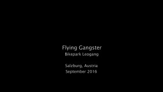 Flying Gangster 2016 - Bikepark Leogang by downhill-rangers.com-zl5fN