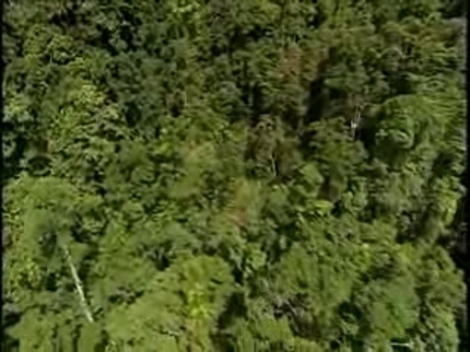 L'Australie, du Pacifique à l'Océan Indien