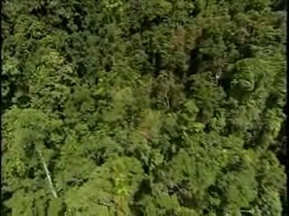 L'Australie, du Pacifique à l'Océan Indien