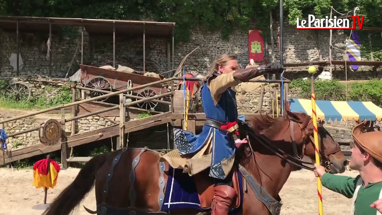 Rapaces et chevaliers : dans les coulisses des spectacles médiévaux à Provins