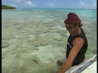 Archipels des Marquises et des Tuamotu