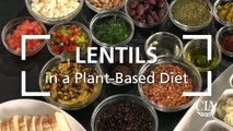 Lentils in a Plant-Based Diet - Lentil and Beet Burger-nJDRFnqB