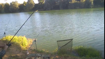 Yok Böyle Sazan Avı