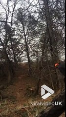 Ce bucheron manque de se tailler la jambe avec sa tronçonneuse