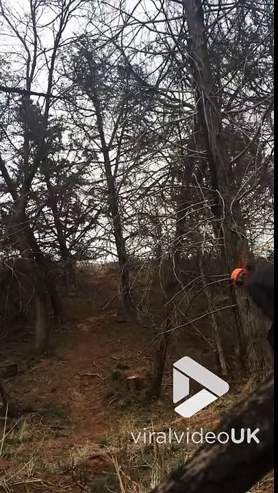 Ce bucheron manque de se tailler la jambe avec sa tronçonneuse