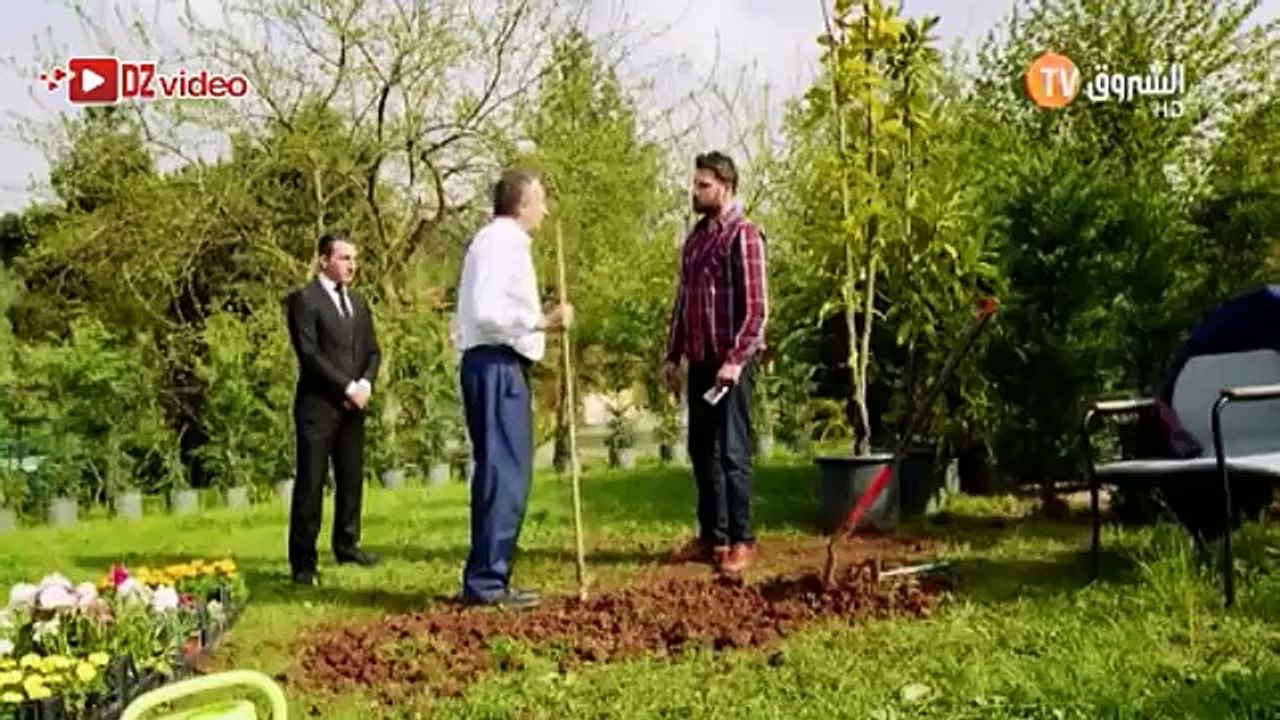 مسلسل اليف باللهجة الجزائرية الحلقة 165 HD