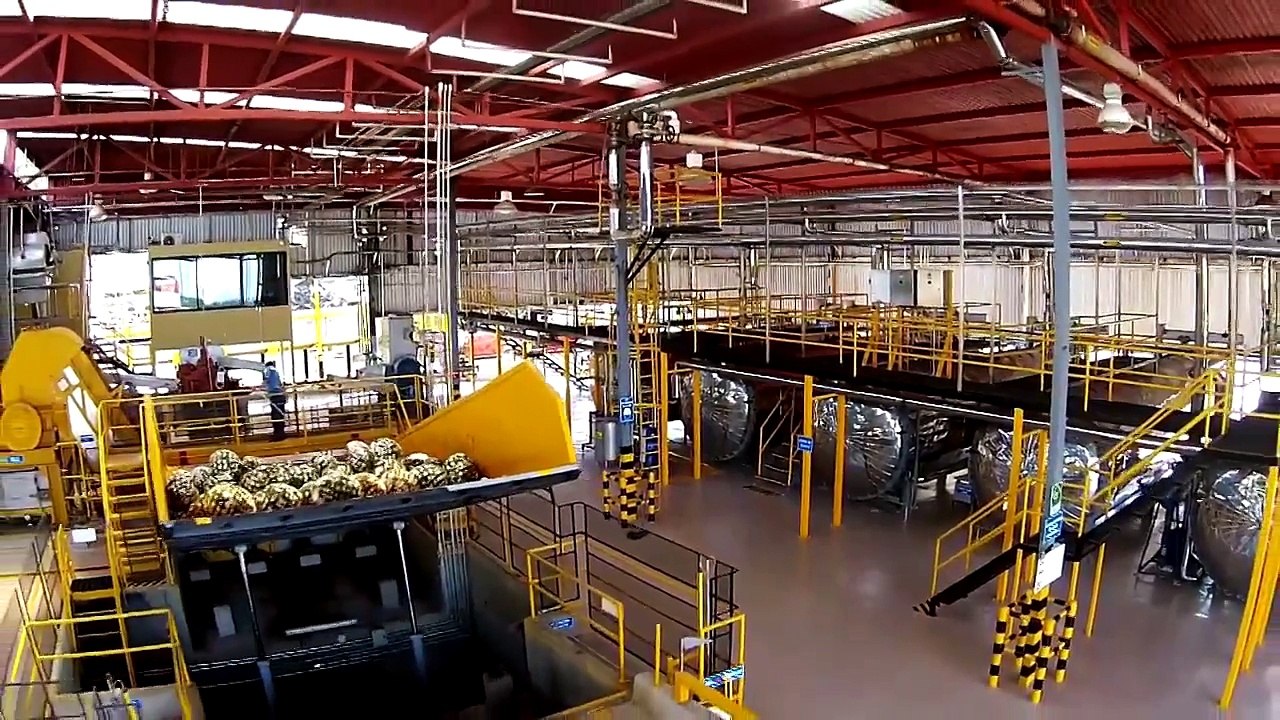 Tequila CAZADORES® Distillery Harnesses Green Energy | Bacardi Limited