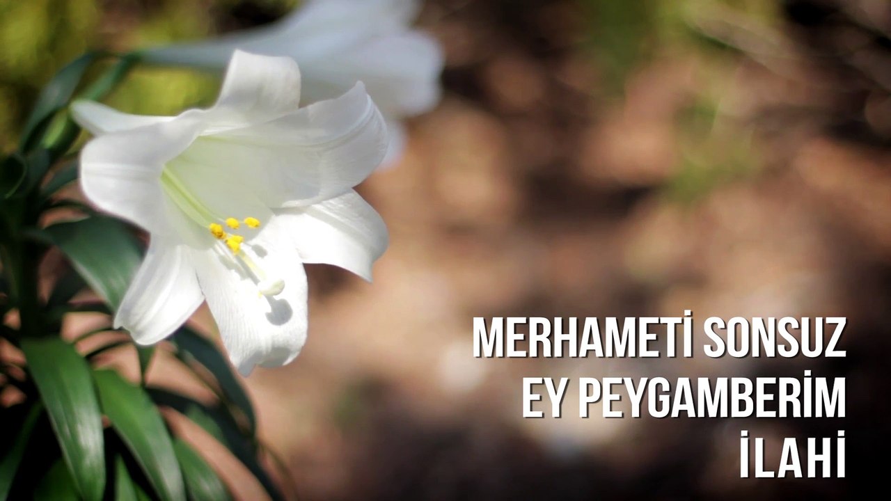 Müziksiz İlahiler - Merhameti Sonsuz Ey Peygamberim
